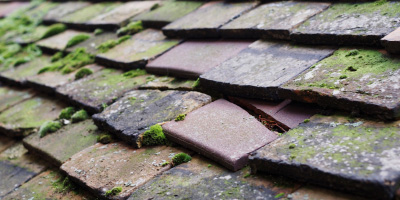 Little Eversden roof repair costs